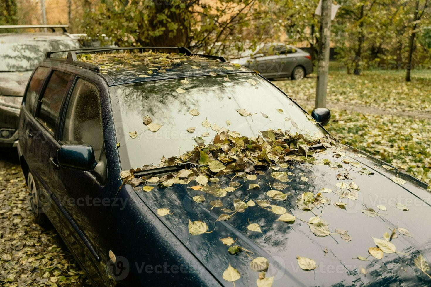 Car Parked in Yard Covered with Autumn Leaves - Beautiful Fall Scene photo