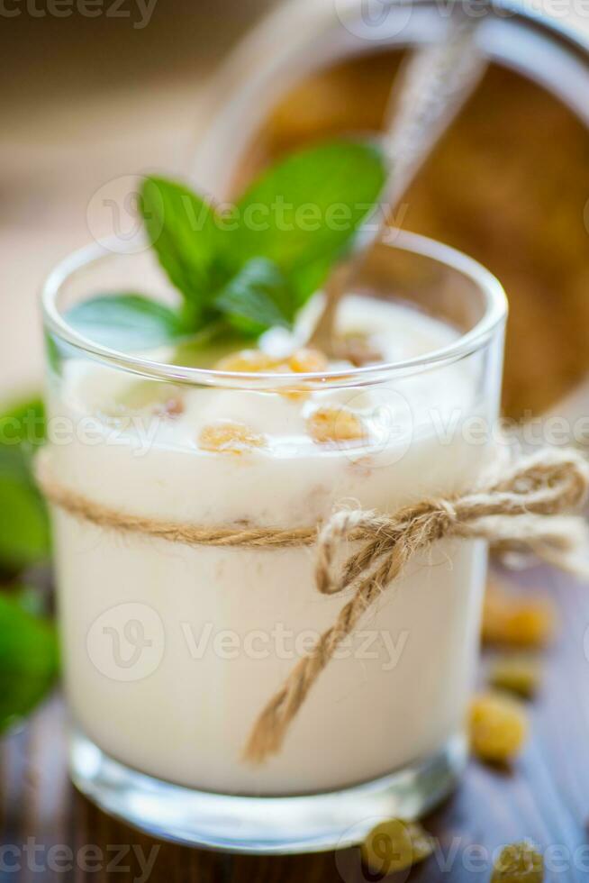 sweet homemade yogurt with raisins in a glass photo