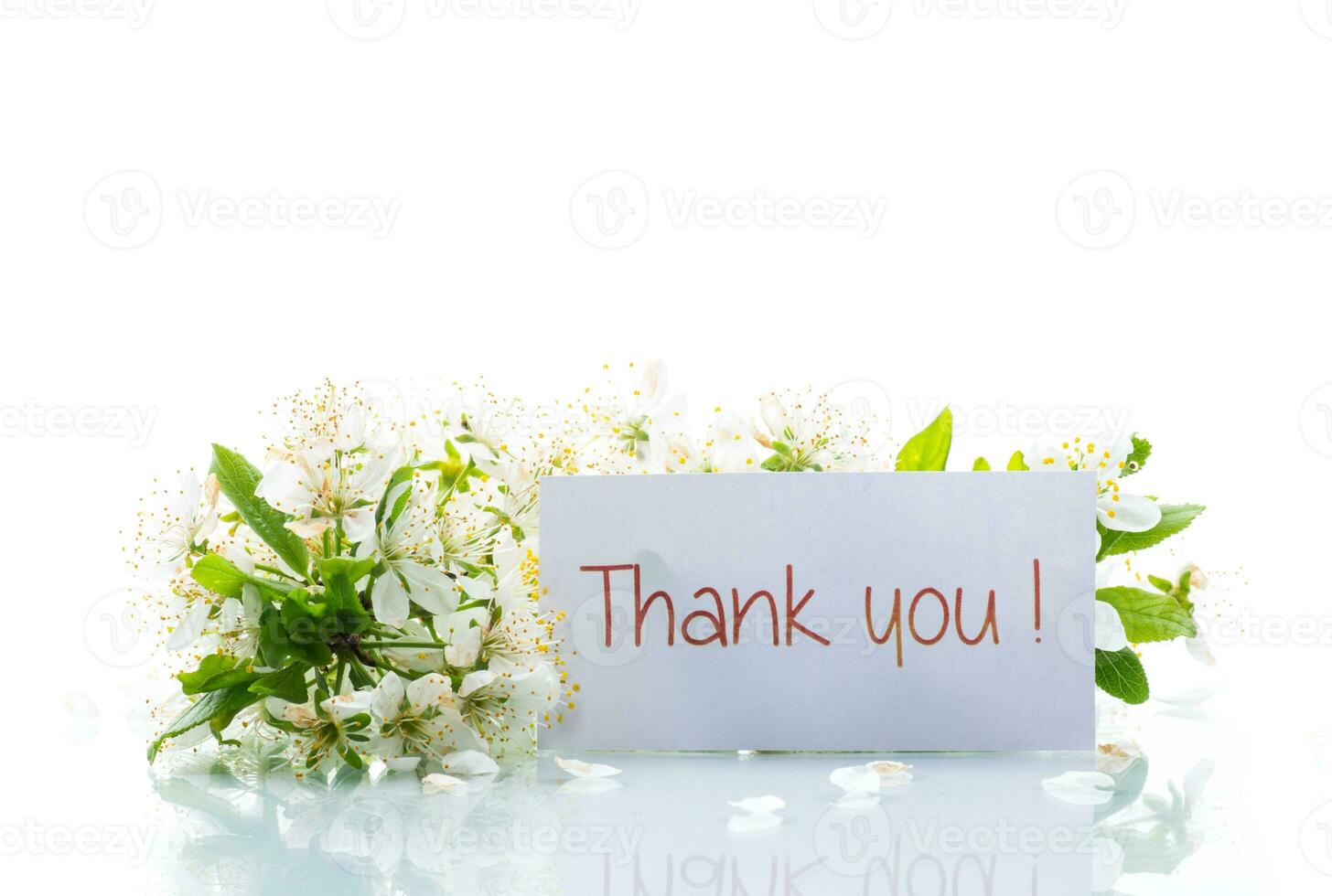 thank you card and blooming spring branch with flowers photo