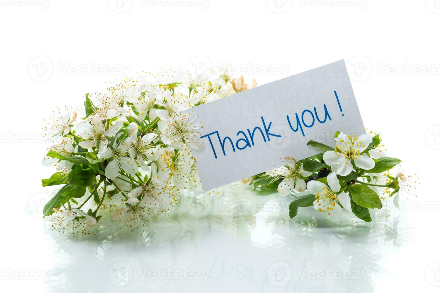 thank you card and blooming spring branch with flowers photo