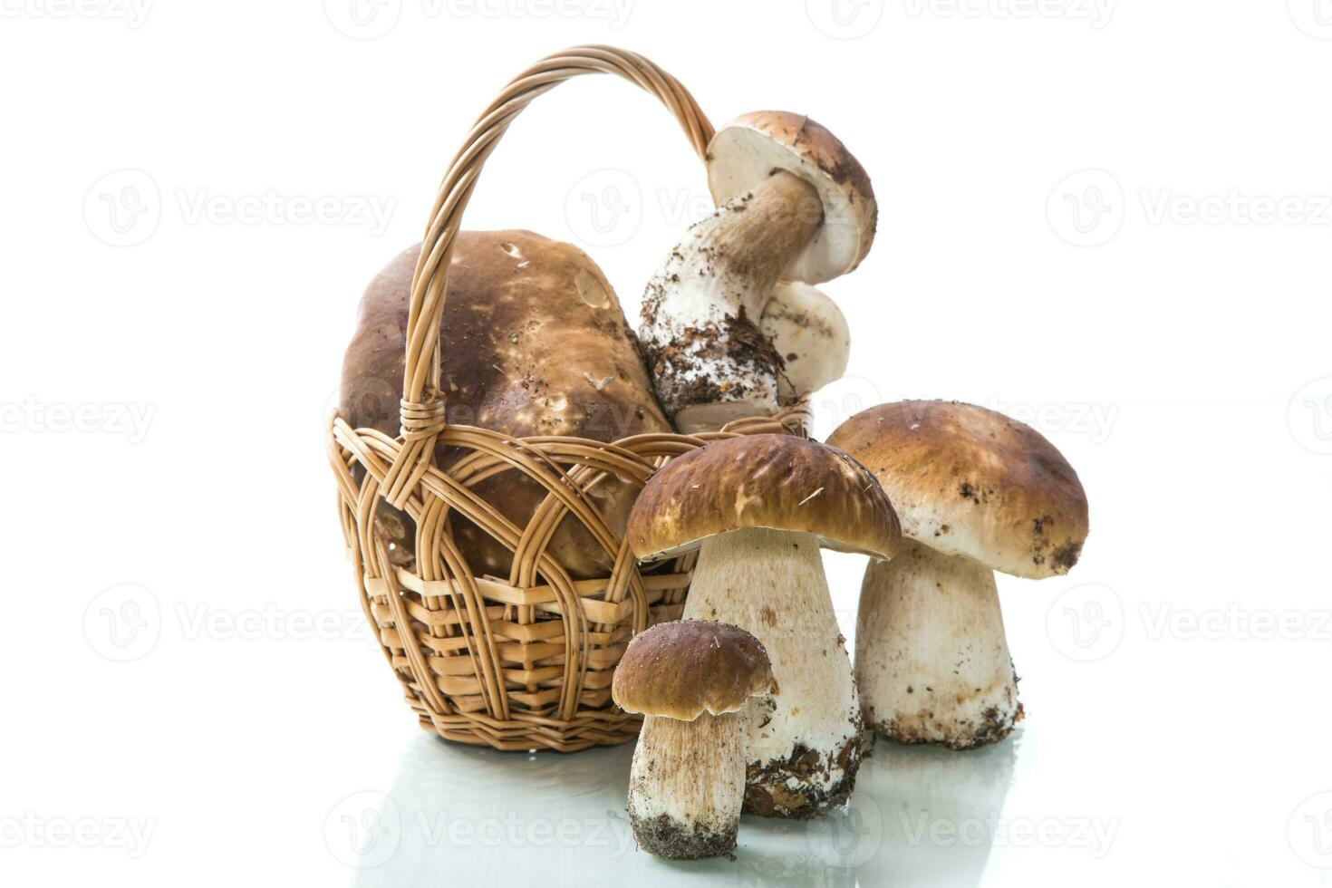 heap of fresh harvested forest mushrooms in basket photo
