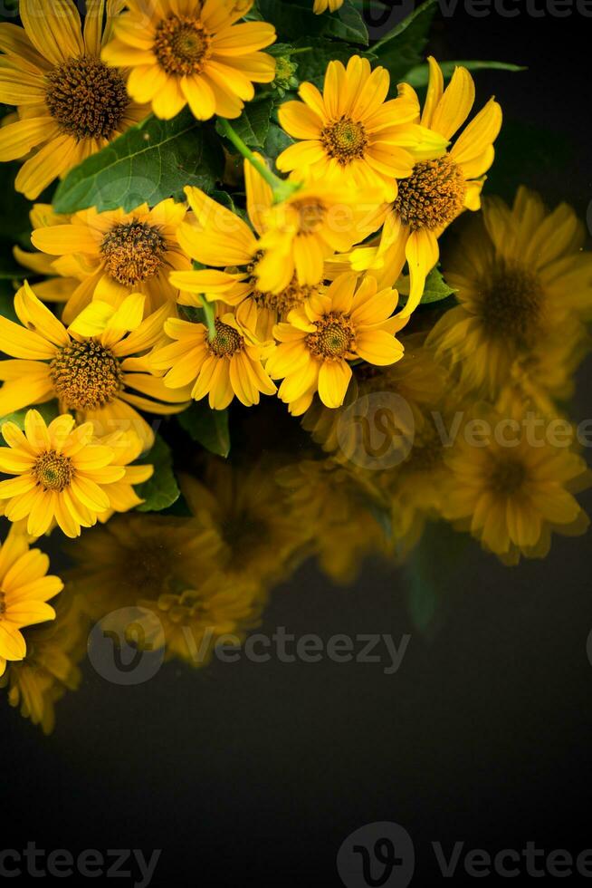 bouquet of beautiful yellow daisies on black background photo