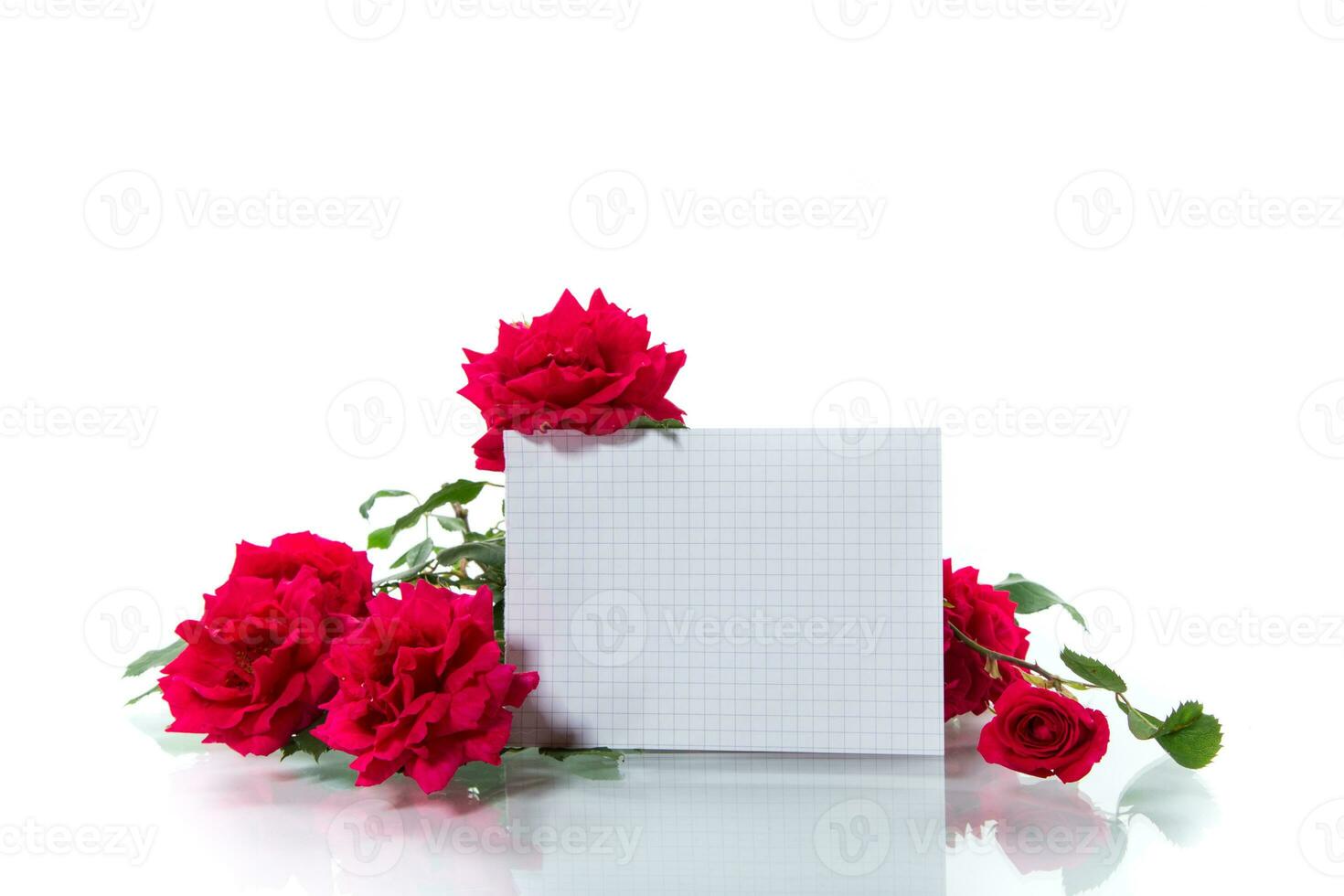 bouquet of beautiful red roses isolated on white photo