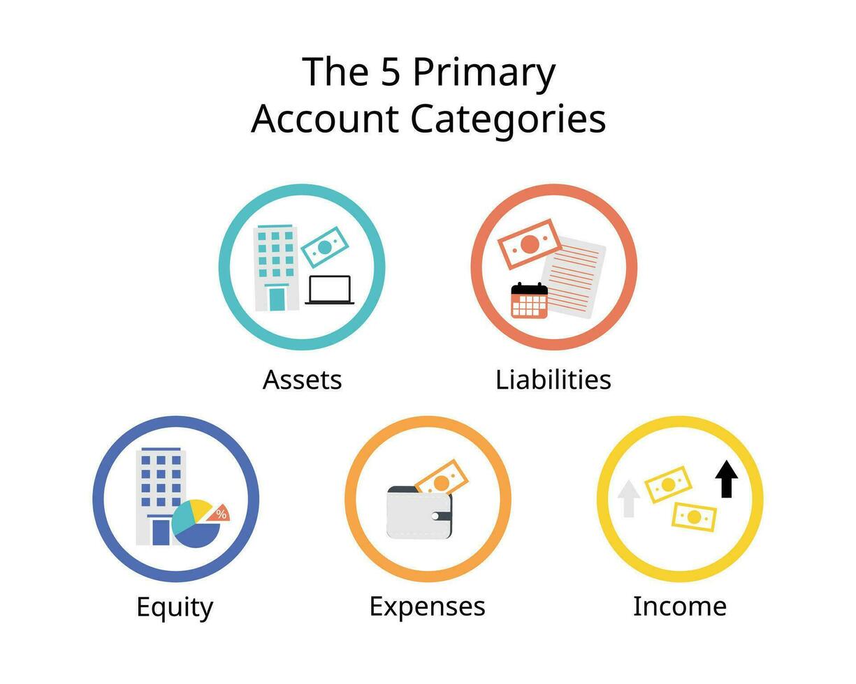 The 5 primary account categories are assets, liabilities, equity, expenses, and income or revenue vector