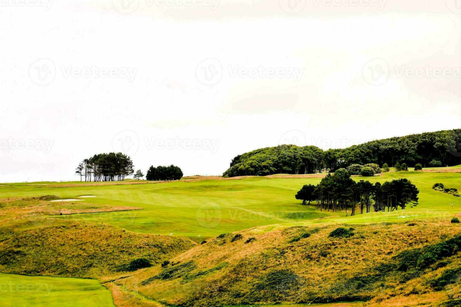 Golf Green Grass Field photo