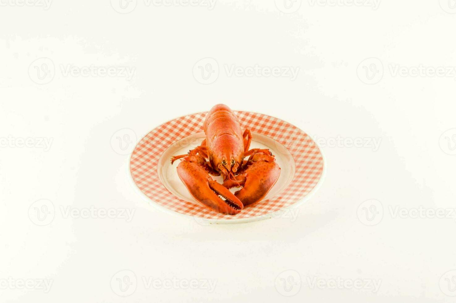 a lobster sitting on a plate on a white background photo