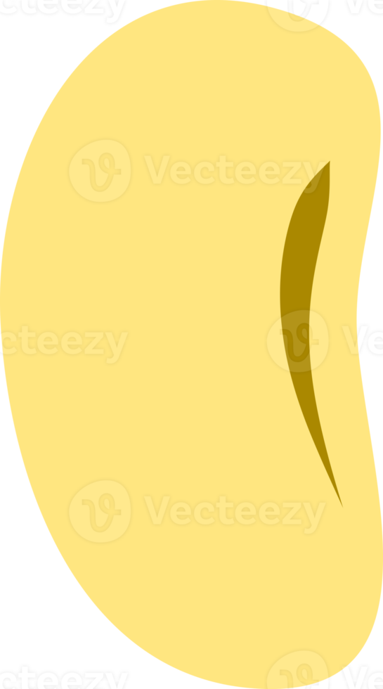 bean soy seed icon png