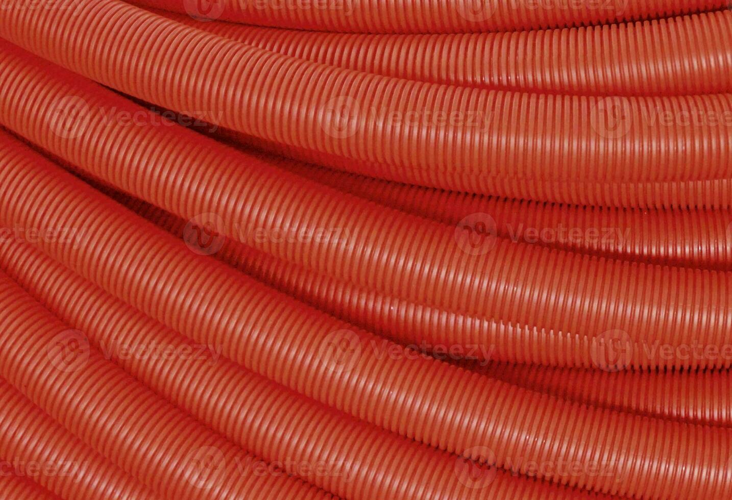 a close up of a red hose photo