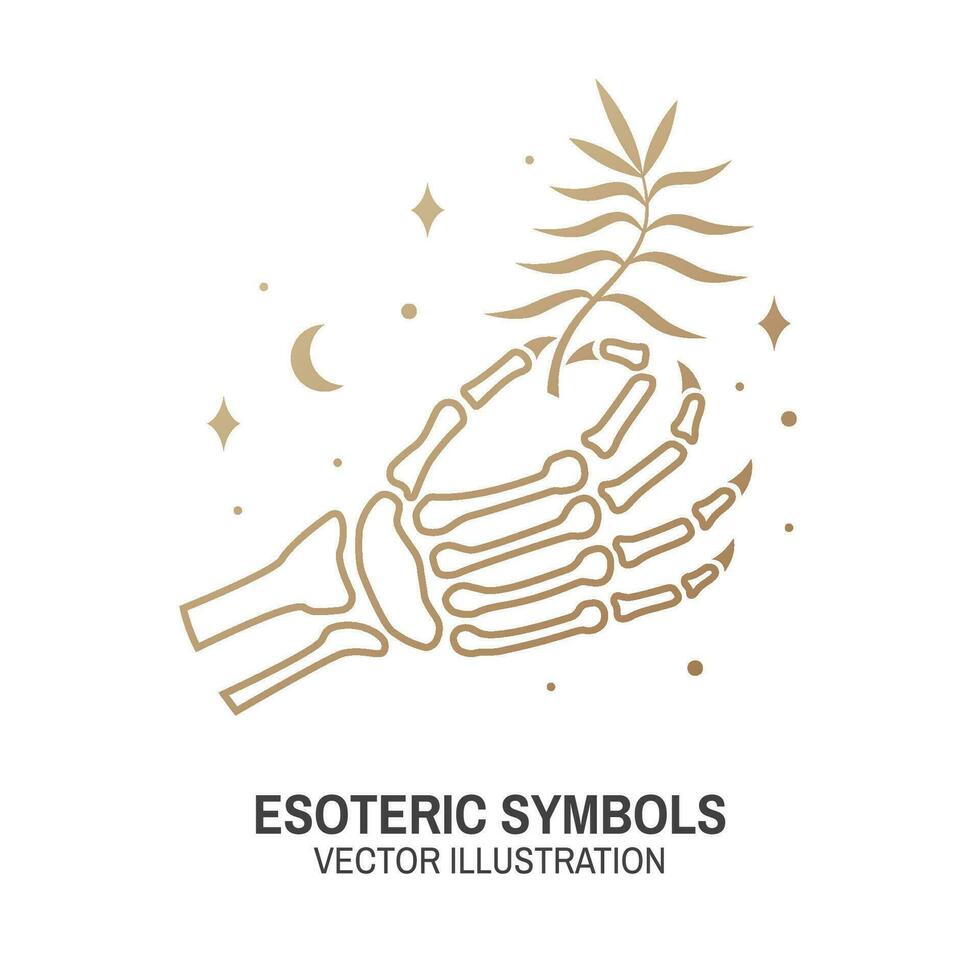 Esoteric symbols. Vector. Thin line geometric badge. Outline icon for alchemy or sacred geometry. Mystic and magic design with human skeleton bone hand, stars, planets and magic card. vector