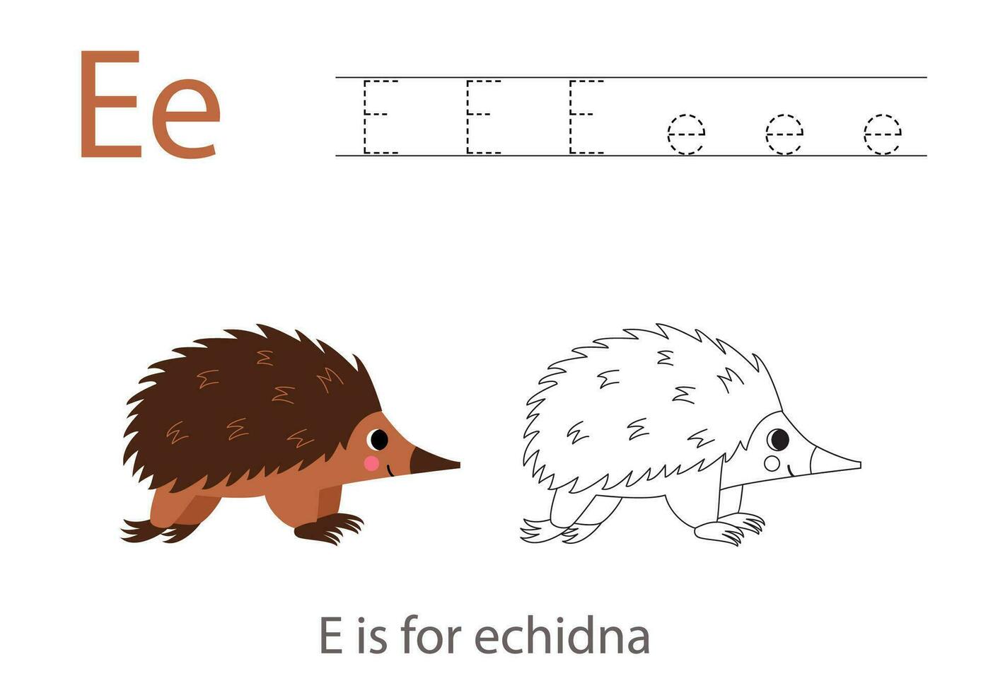 Tracing alphabet letters with cute animals. Color cute echidna. Trace letter E. vector