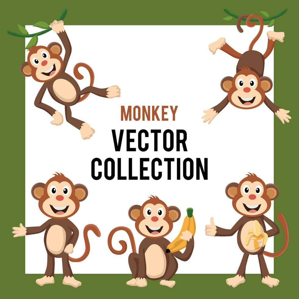 monkey character vector collection set