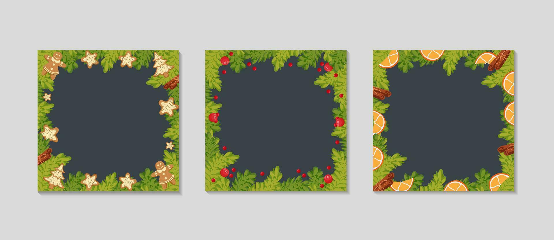 Christmas square frame set for Social media. Spruce branches with cookies, citrus, cinnamon, and holly berries. Christmas holidays square templates. Winter sale and social media Vector illustration