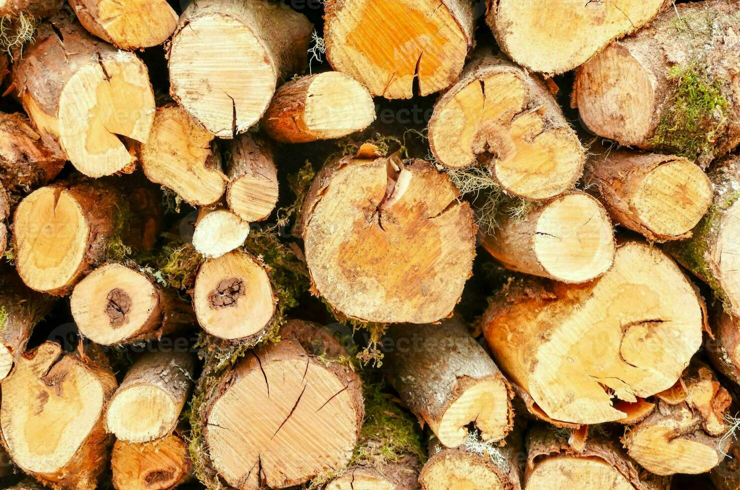 a pile of wood photo