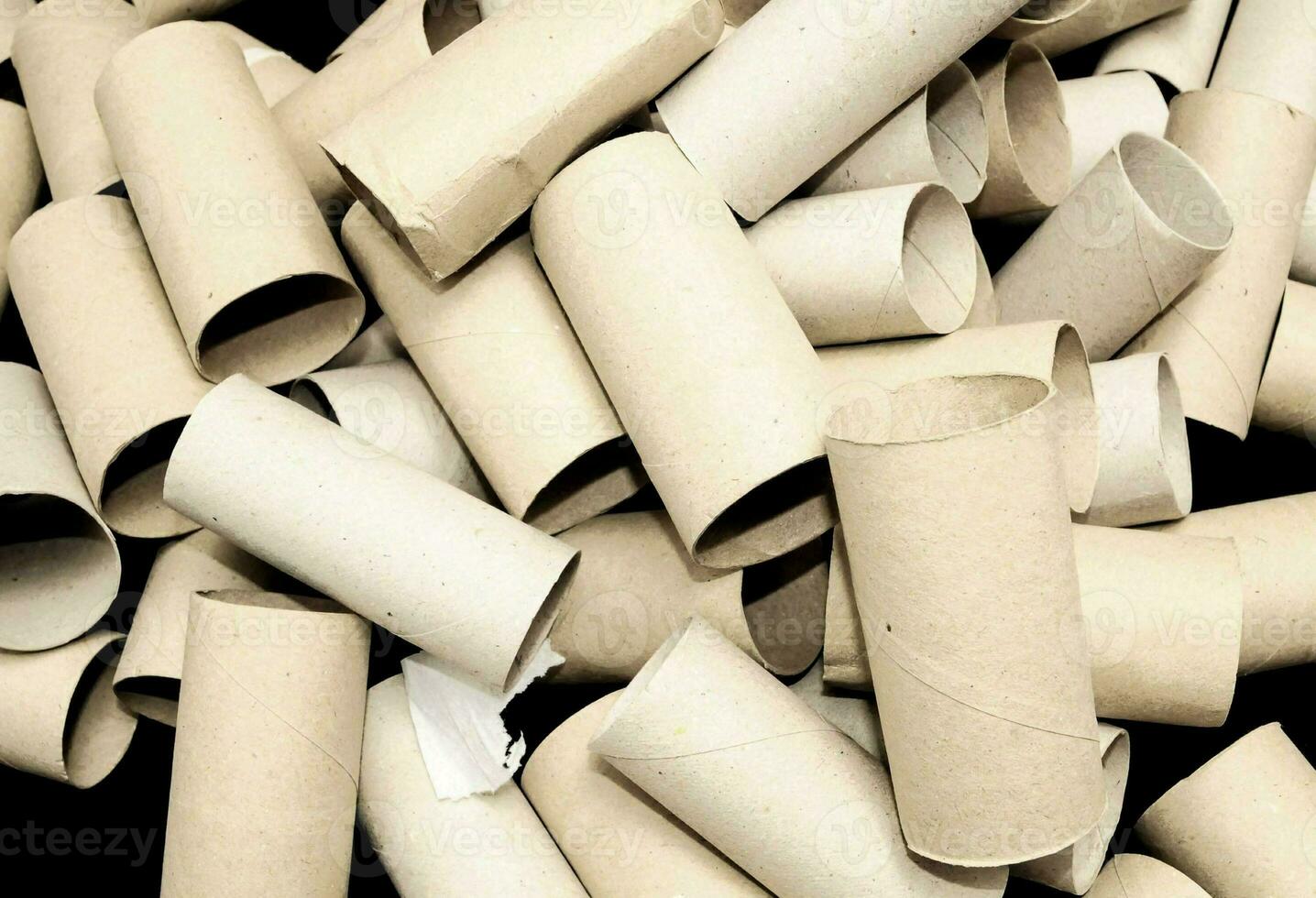 Empty toilet paper roll photo