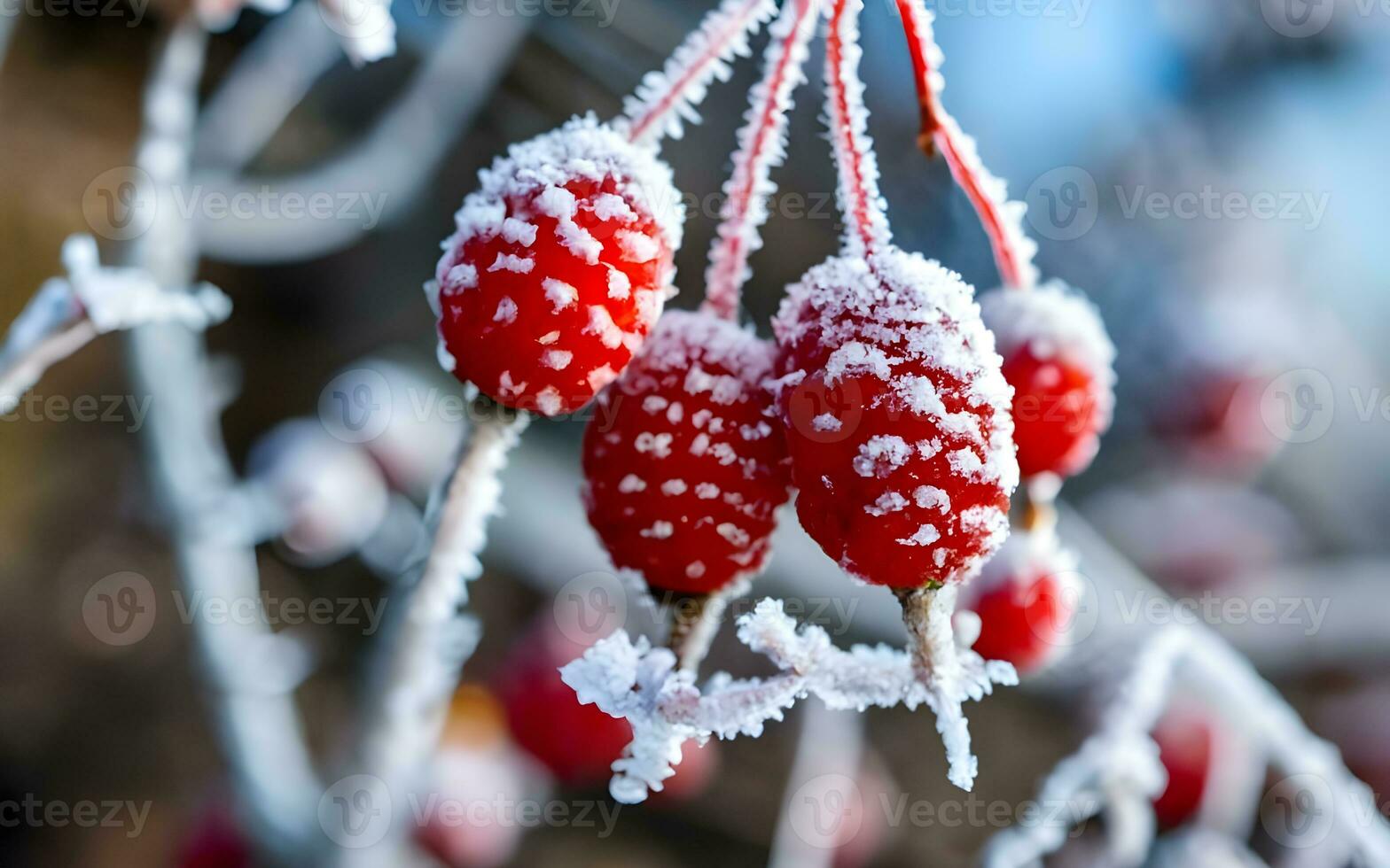 AI generated Winter's Kiss, Enchanting Frost Blanket on Morning Berries photo