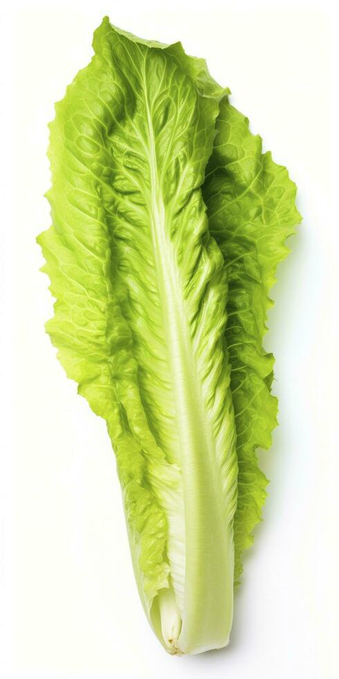 AI generated Lettuce isolated on white background. AI Generated photo