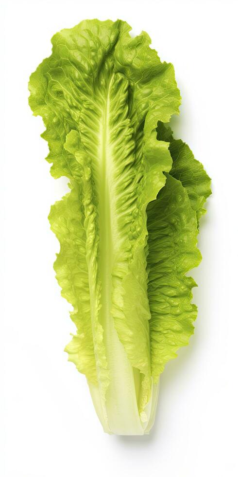 AI generated Lettuce isolated on white background. AI Generated photo