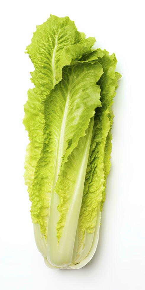 AI generated Lettuce isolated on white background. AI Generated photo