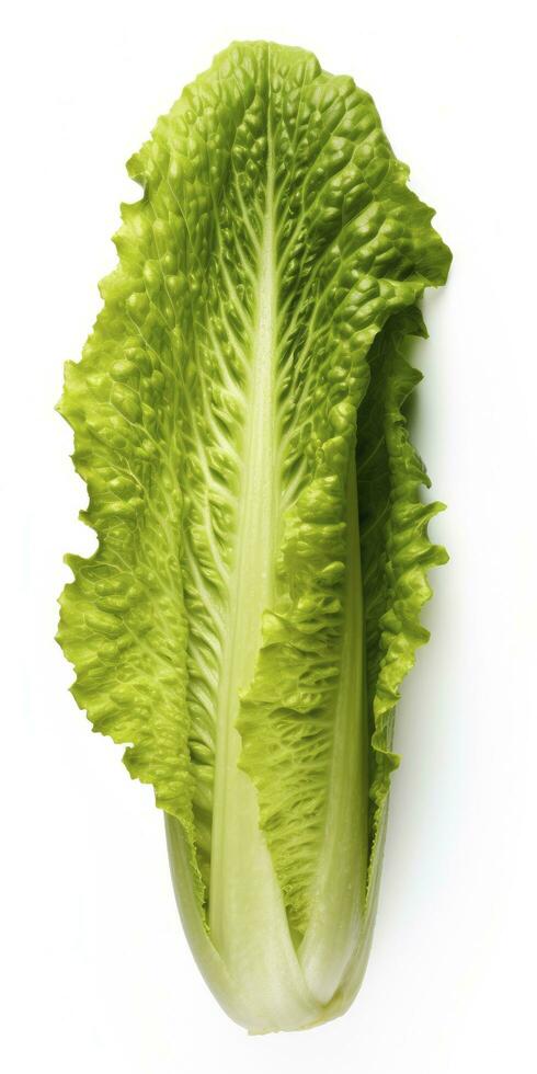 AI generated Lettuce isolated on white background. AI Generated photo