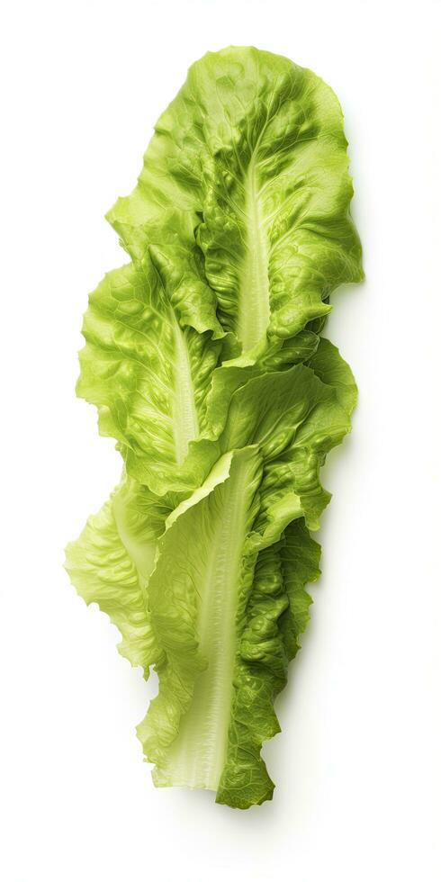 AI generated Lettuce isolated on white background. AI Generated photo