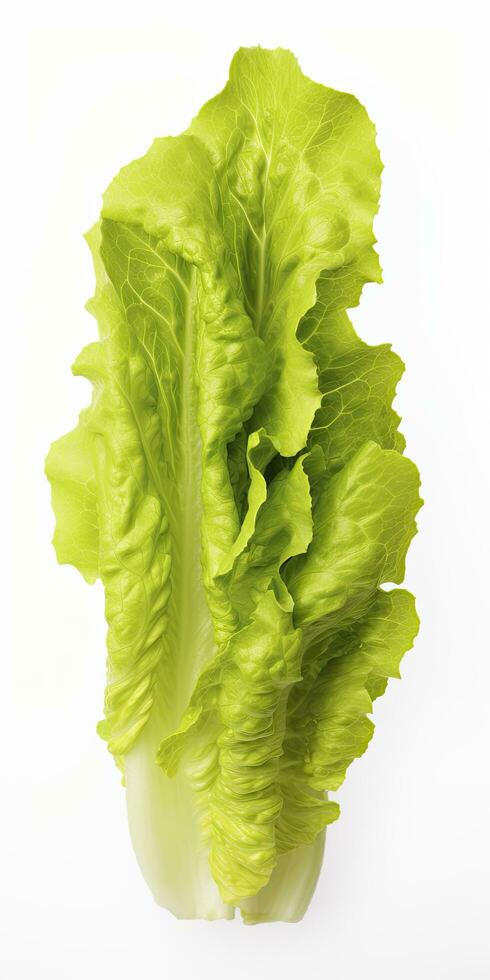 AI generated Lettuce isolated on white background. AI Generated photo