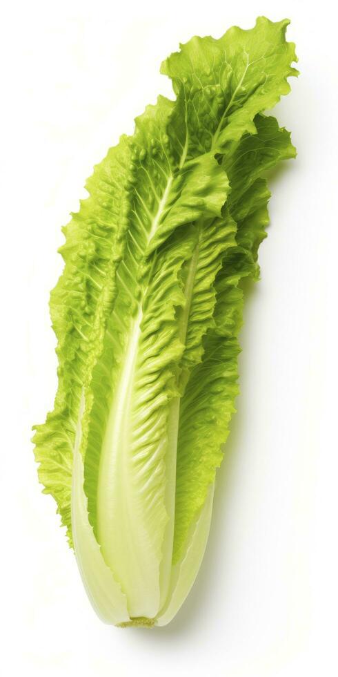 AI generated Lettuce isolated on white background. AI Generated photo