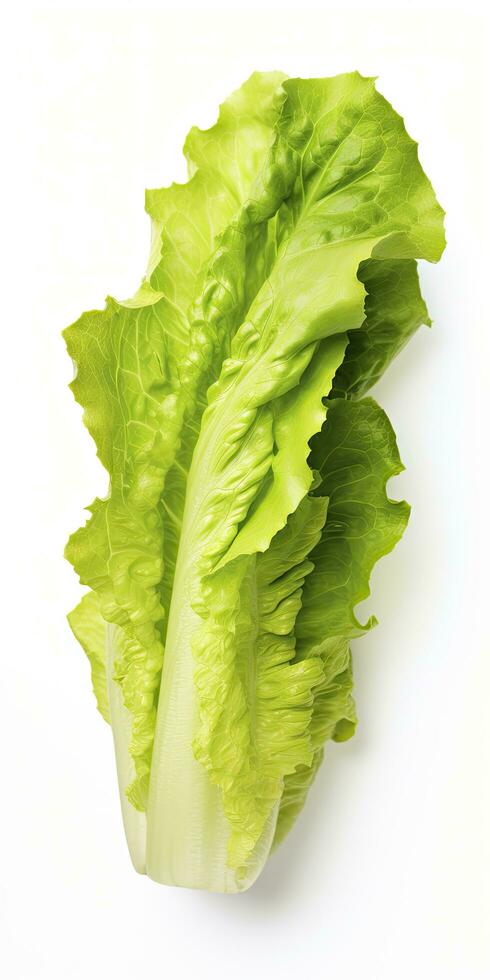 AI generated Lettuce isolated on white background. AI Generated photo