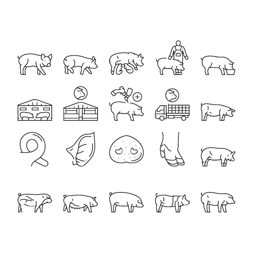 pork pig farm animal piglet hog icons set vector