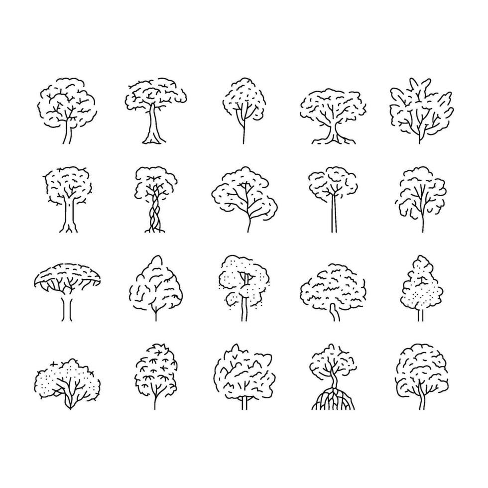 rainforest jungle amazon nature icons set vector