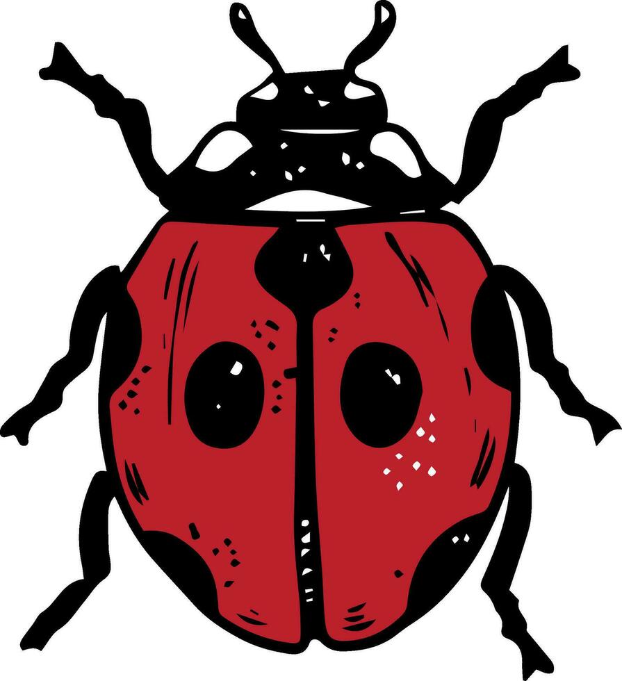 Single sketch style red ladybug illustration black lineart isolated on white background vector