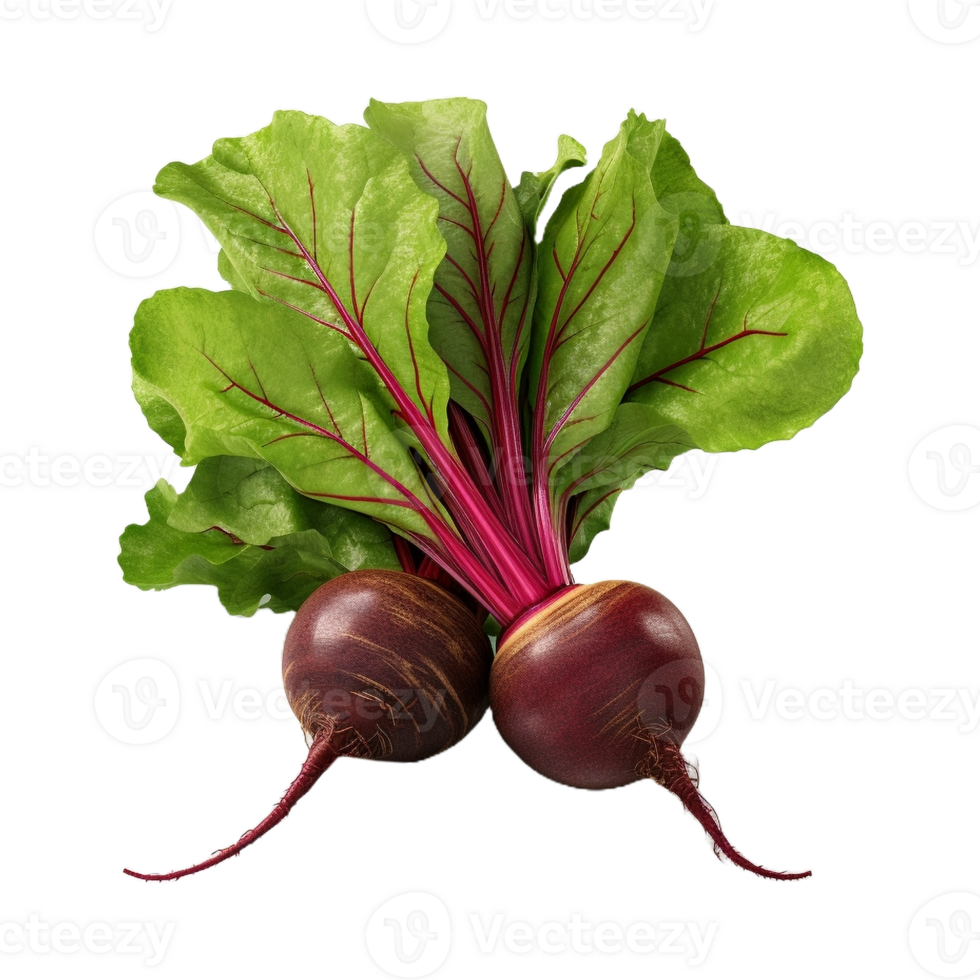 AI generated Fresh Red Beets on Transparent Background - Ai Generated png