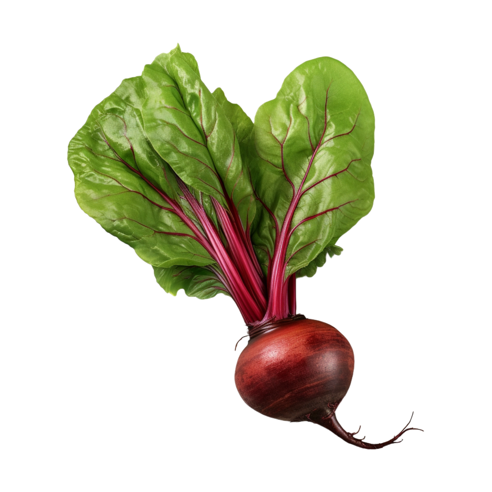 AI generated Fresh Red Beets on Transparent Background - Ai Generated png