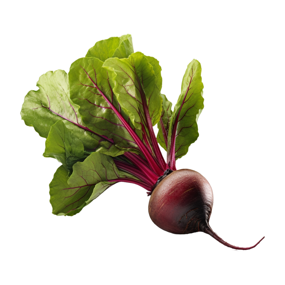 AI generated Fresh Red Beets on Transparent Background - Ai Generated png