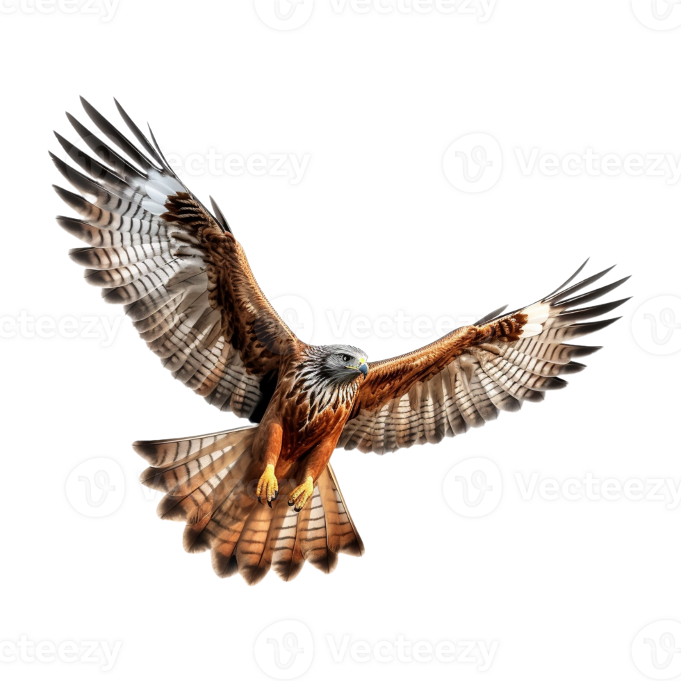 AI generated Flying Eagle on Transparent Background - Ai Generated png