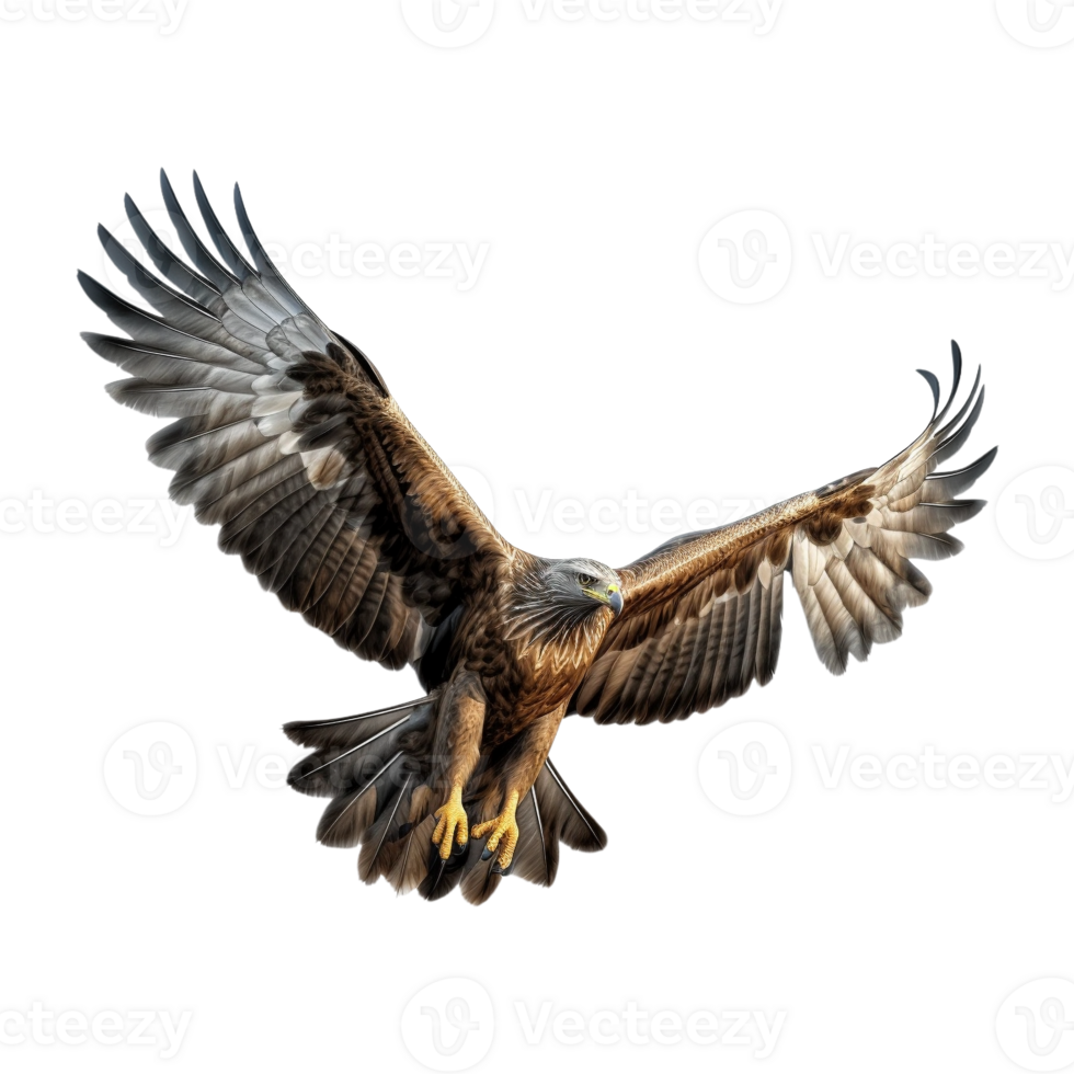 AI generated Flying Eagle on Transparent Background - Ai Generated png