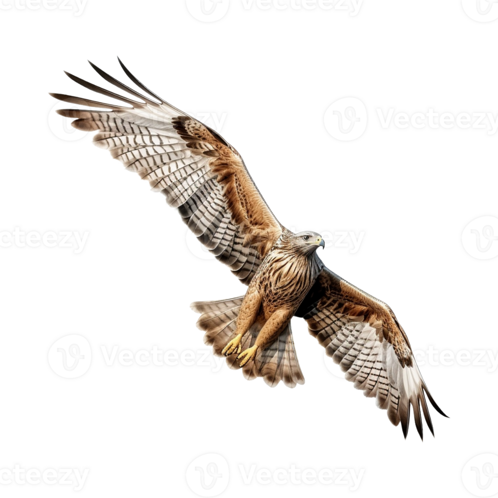 AI generated Flying Eagle on Transparent Background - Ai Generated png