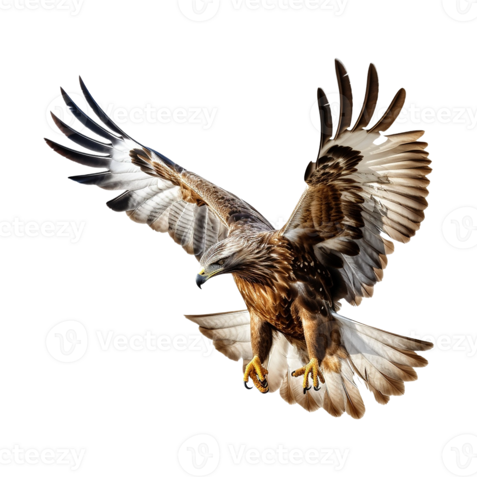 AI generated Flying Eagle on Transparent Background - Ai Generated png