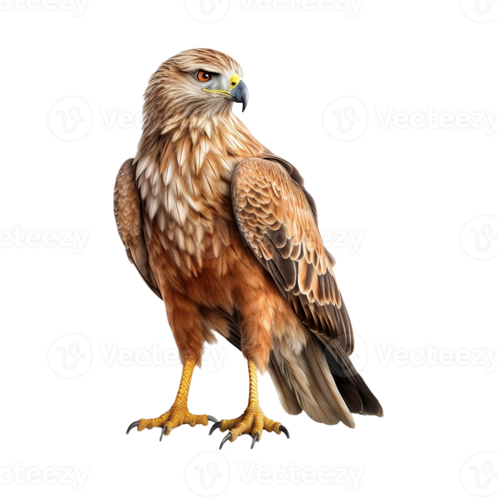 AI generated Flying Eagle on Transparent Background - Ai Generated png
