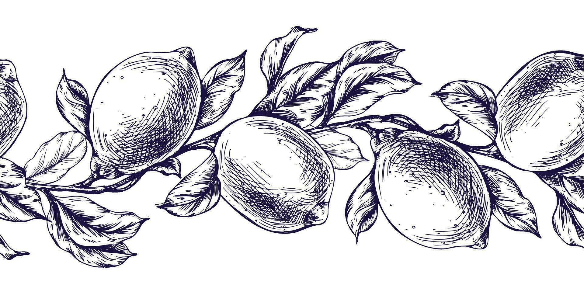 Lemons juicy, ripe with leaves, flower buds on the branches, whole and slices. Graphic botanical illustration hand drawn in blue ink. Seamless border EPS vector. vector