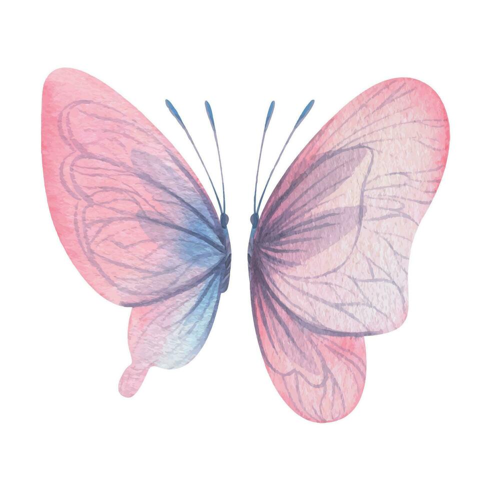 Butterflies are pink, blue, lilac, flying, delicate with wings and splashes of paint. Hand drawn watercolor illustration. Set of isolated elements on a white background, for design Vector EPS