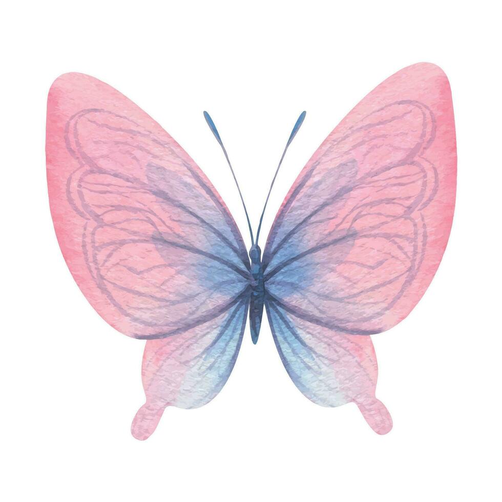 Butterfly are pink, blue, lilac, flying, delicate with wings. Hand drawn watercolor illustration. Isolated element on a white background, for design. Vector EPS