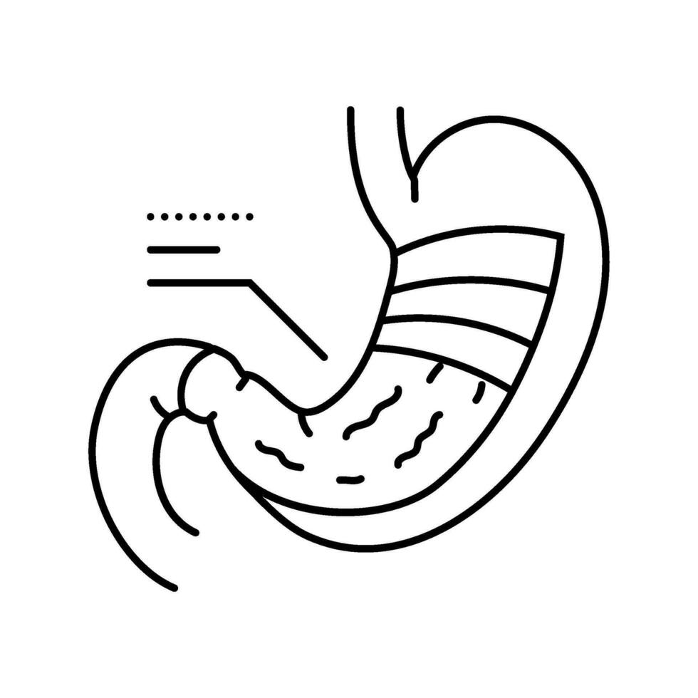 estómago anatomía gastroenterólogo línea icono vector ilustración