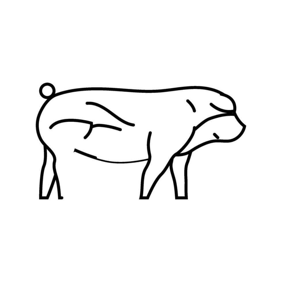duroc pig breed line icon vector illustration