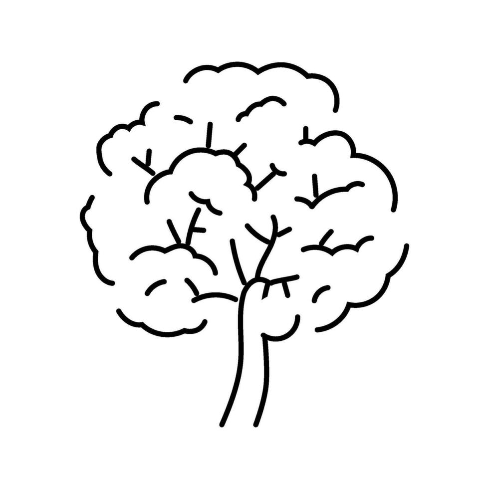 ipe jungle amazon line icon vector illustration