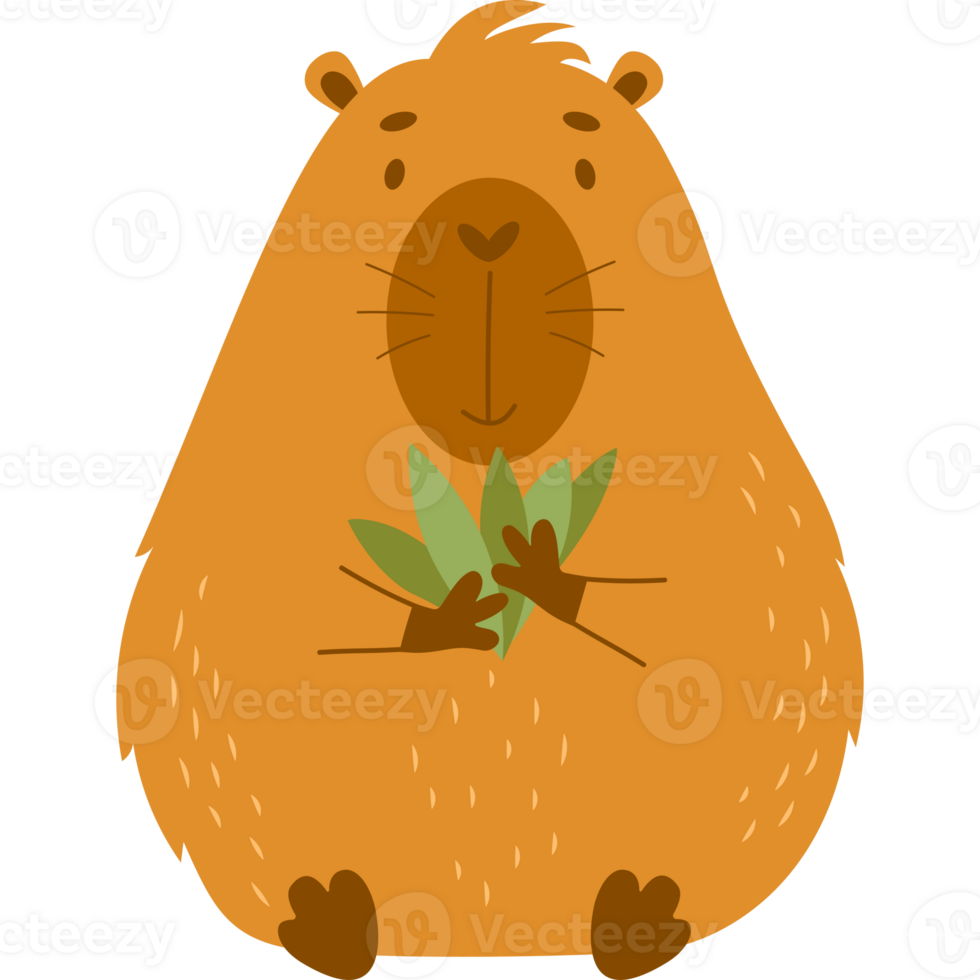 Cute capybara with grass png