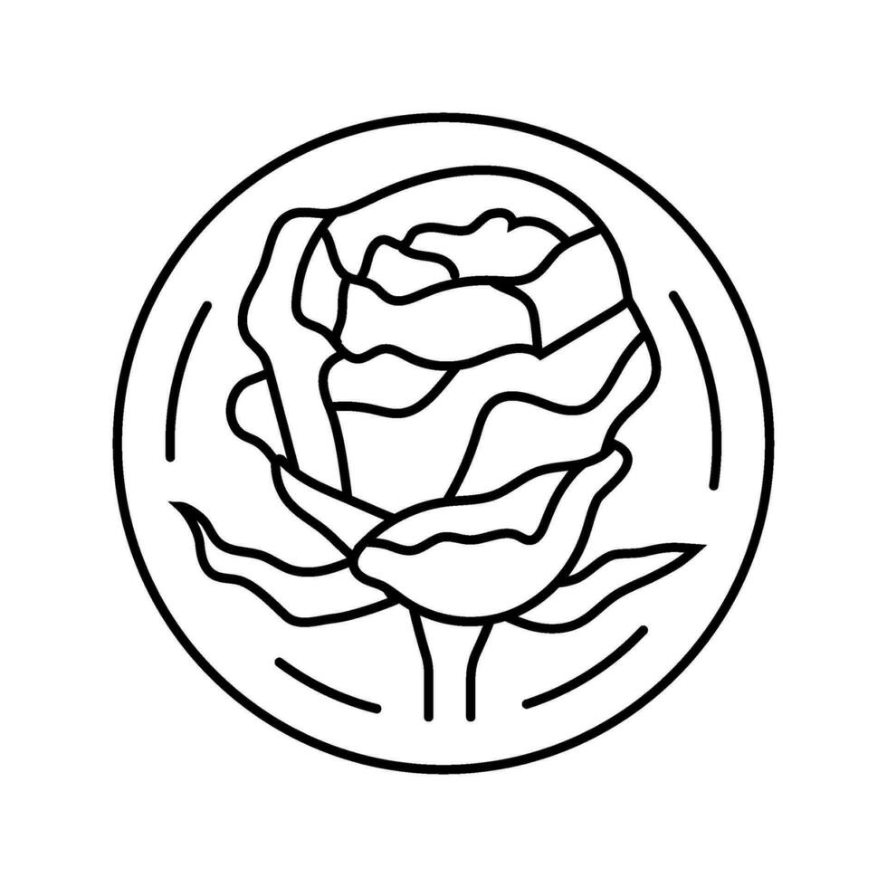 Rosa cosmético planta línea icono vector ilustración