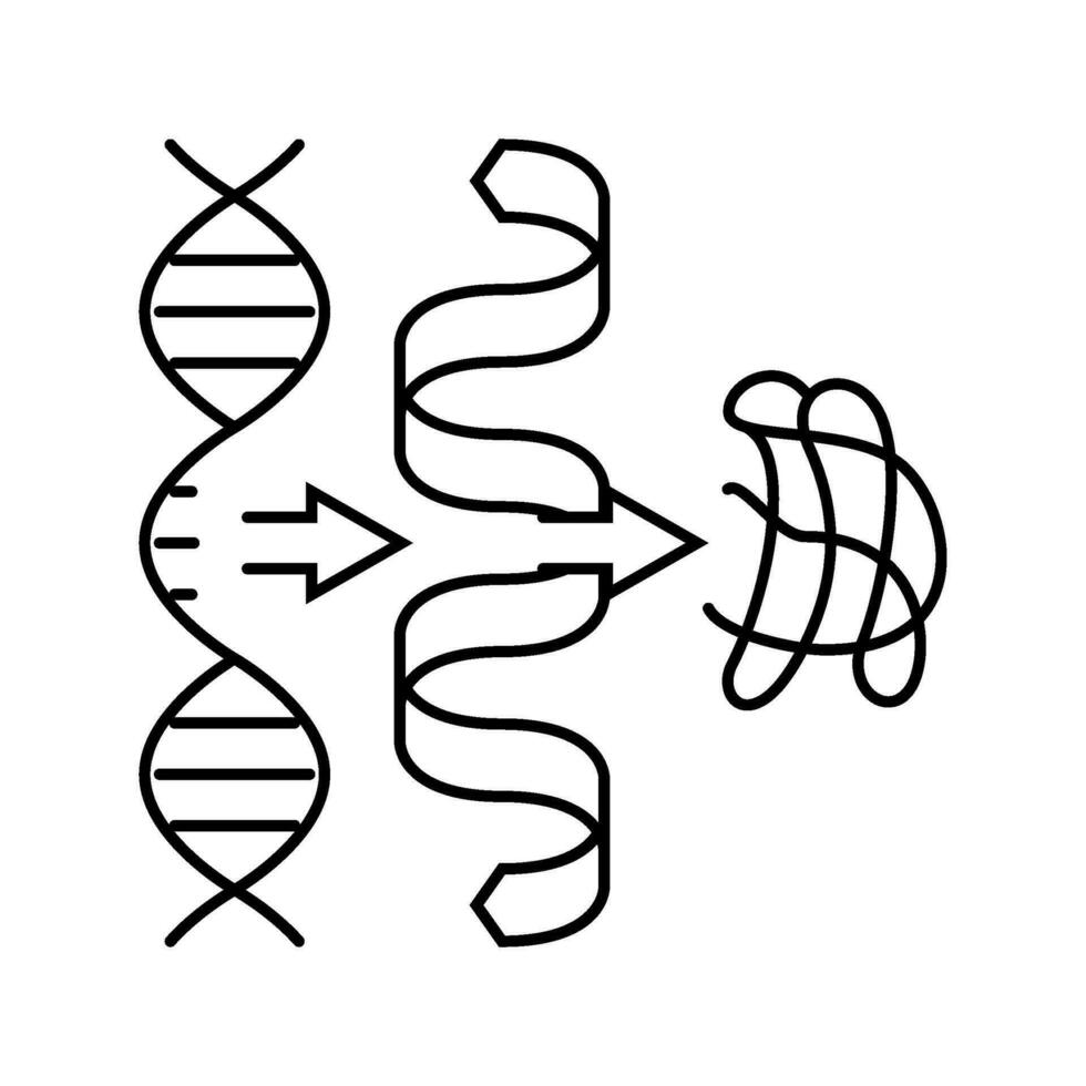 biosíntesis bioquímica línea icono vector ilustración