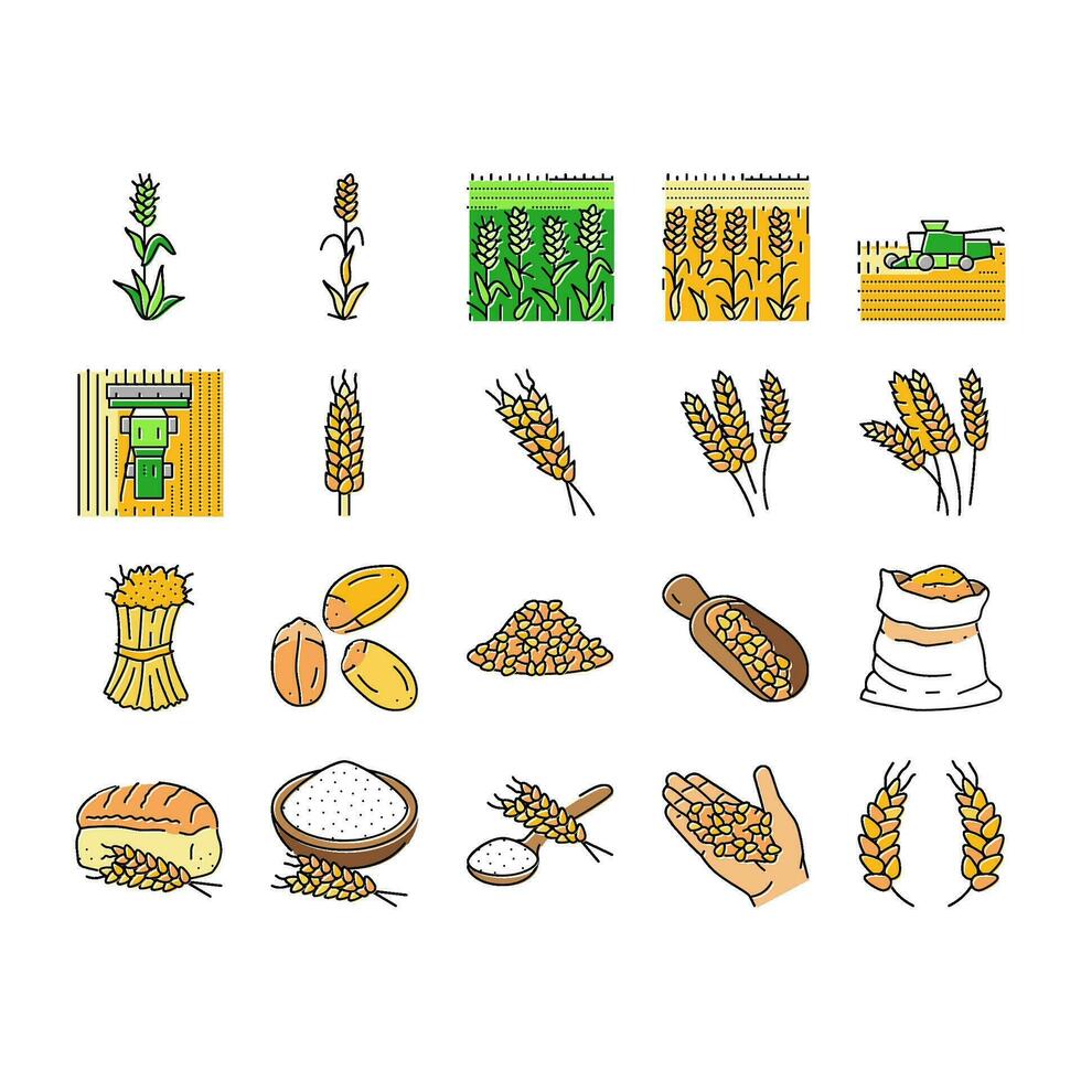 wheat grain bread harvest icons set vector