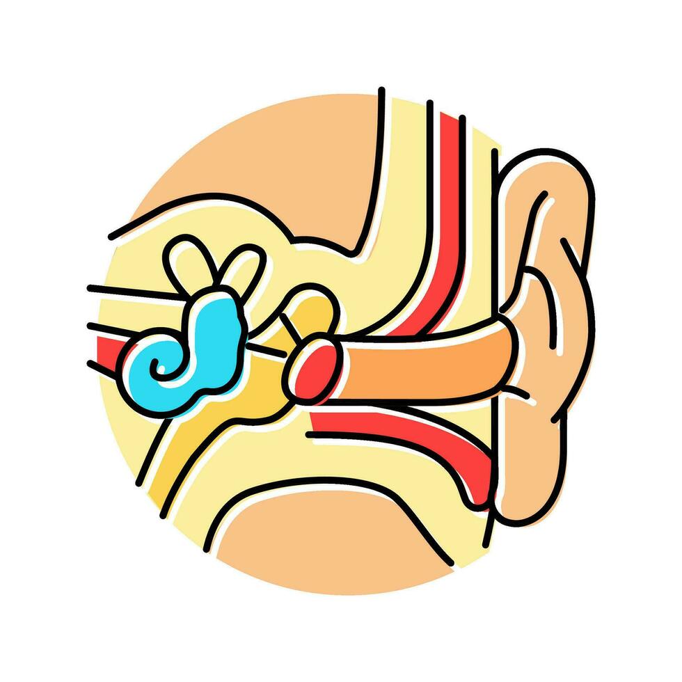 oído anatomía audiólogo médico color icono vector ilustración