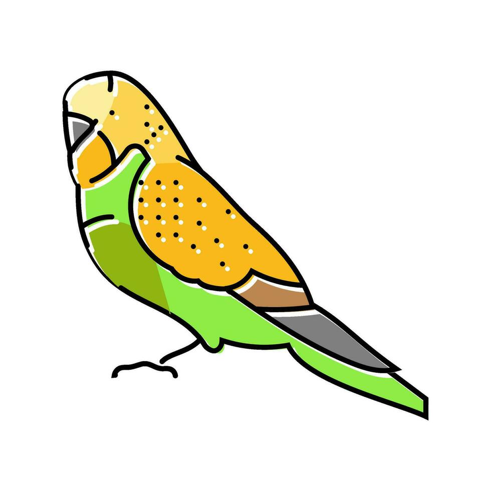 budgerigar parakeet bird parrot color icon vector illustration